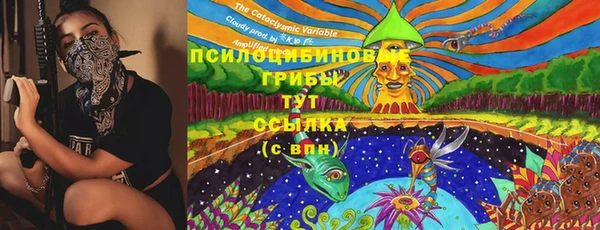 молекула духа Аркадак
