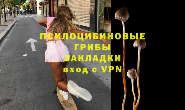 молекула духа Аркадак
