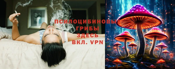 хмурый Алексеевка