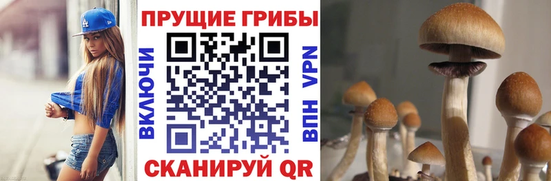 omg ссылка  Ступино  Псилоцибиновые грибы прущие грибы  наркотики 